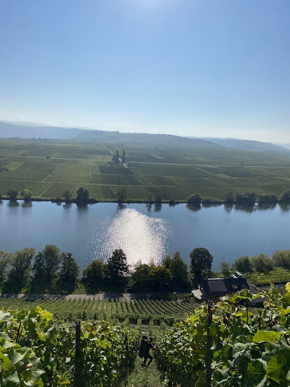 Julian Haart Haart Riesling 2024