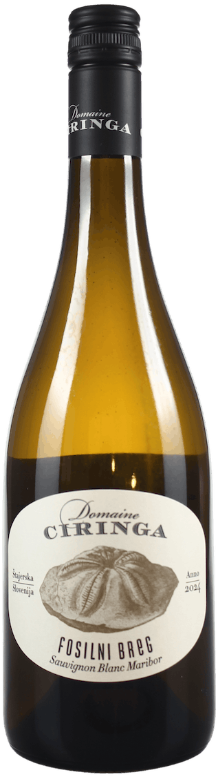 Domaine Ciringa Fosilni Breg Sauvignon Blanc 2024 BIO