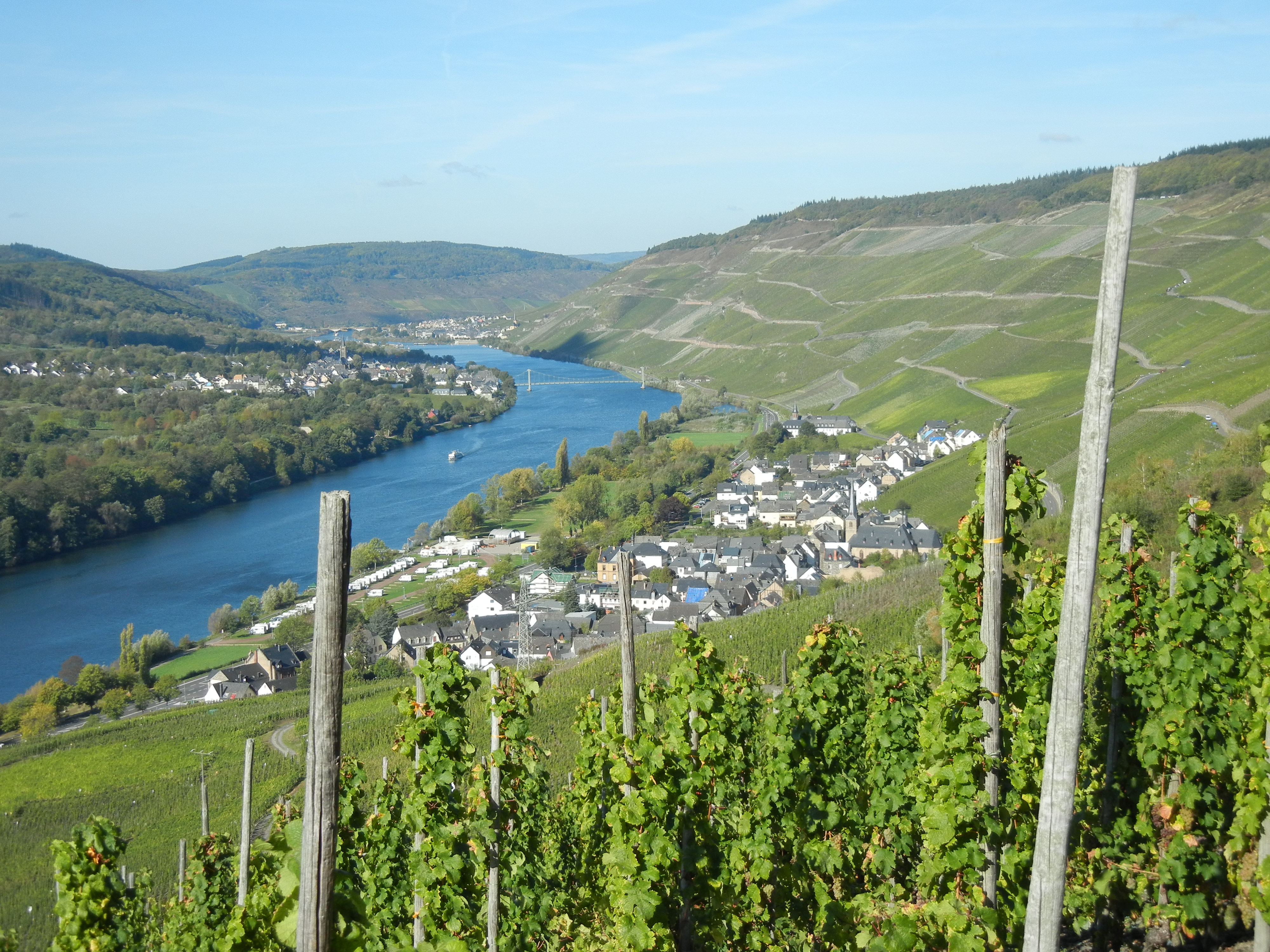 Willi-Schaefer-Graacher-Riesling-trocken-3.jpg