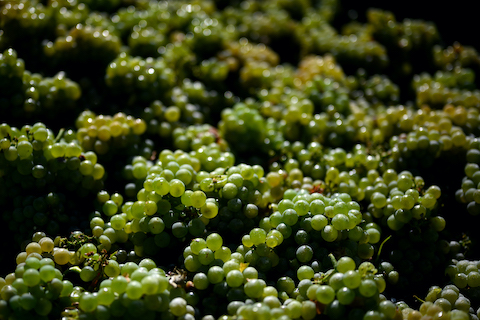 Ellermann Spiegel Riesling Liter