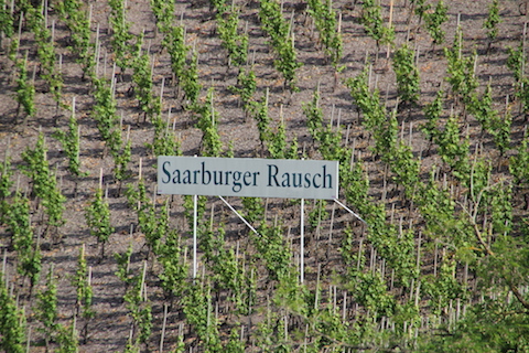 Forstmeister Geltz Zilliken Saarburg Rausch Riesling Großes Gewächs 2019