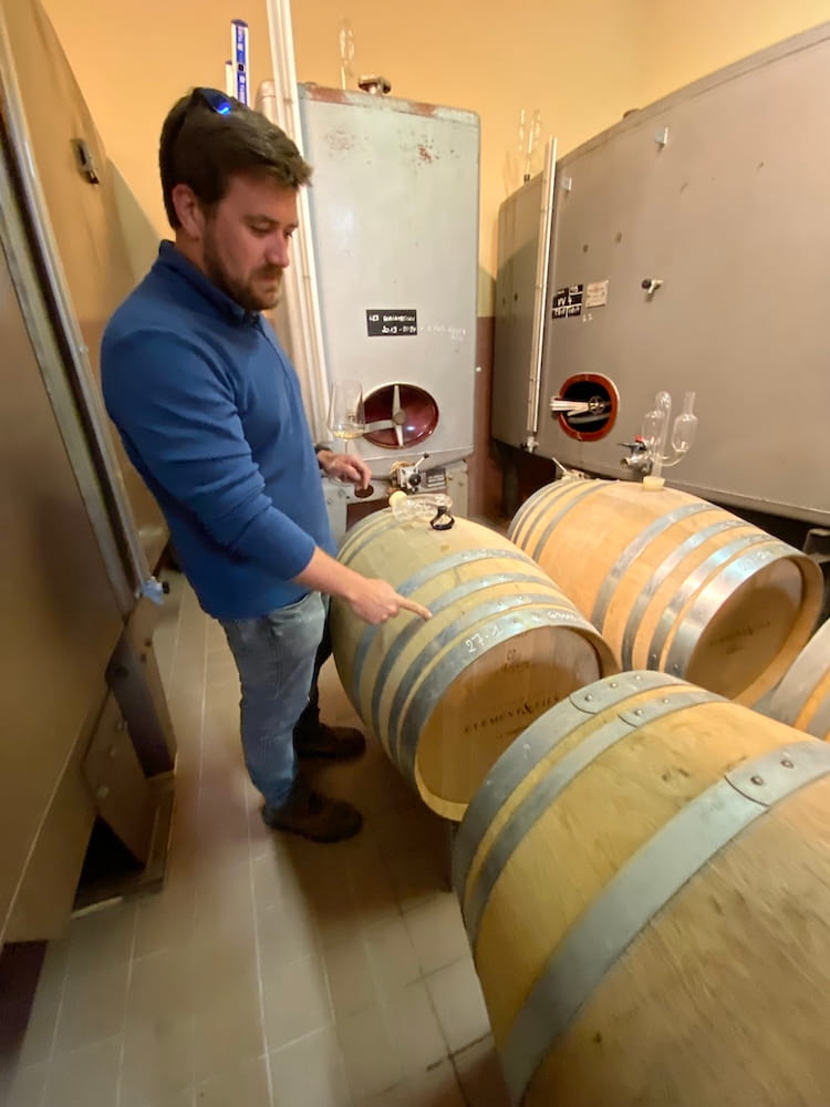 Clément & Fils Adonis Annua Extra Brut