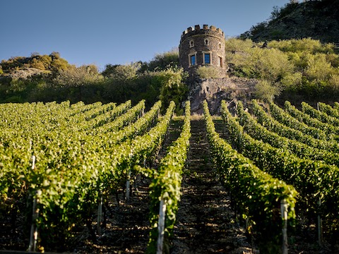 Dönnhoff Schloßböckelheimer Felsenberg Riesling GG 2021
