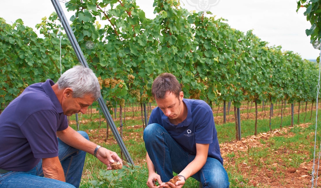 Weingut Seehof