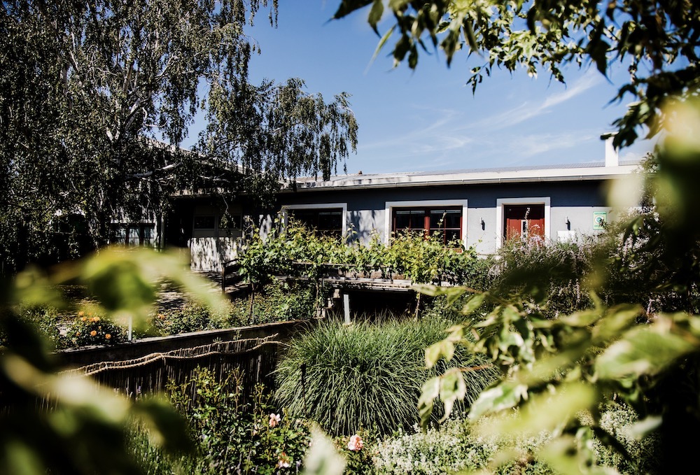 Weingut Hareter