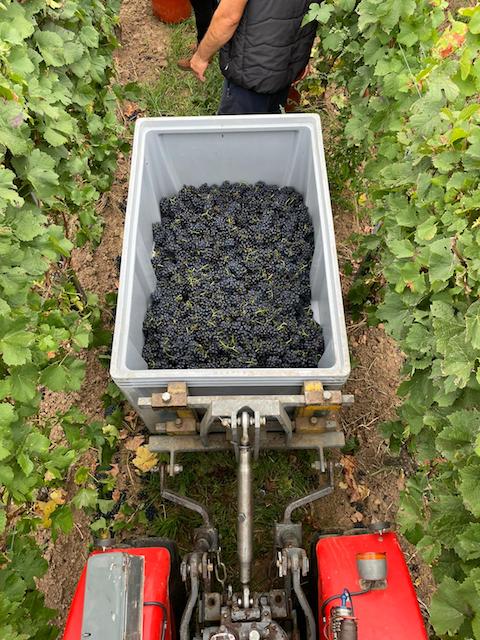 Von Winning Riesling Kirchenstück GG 2020
