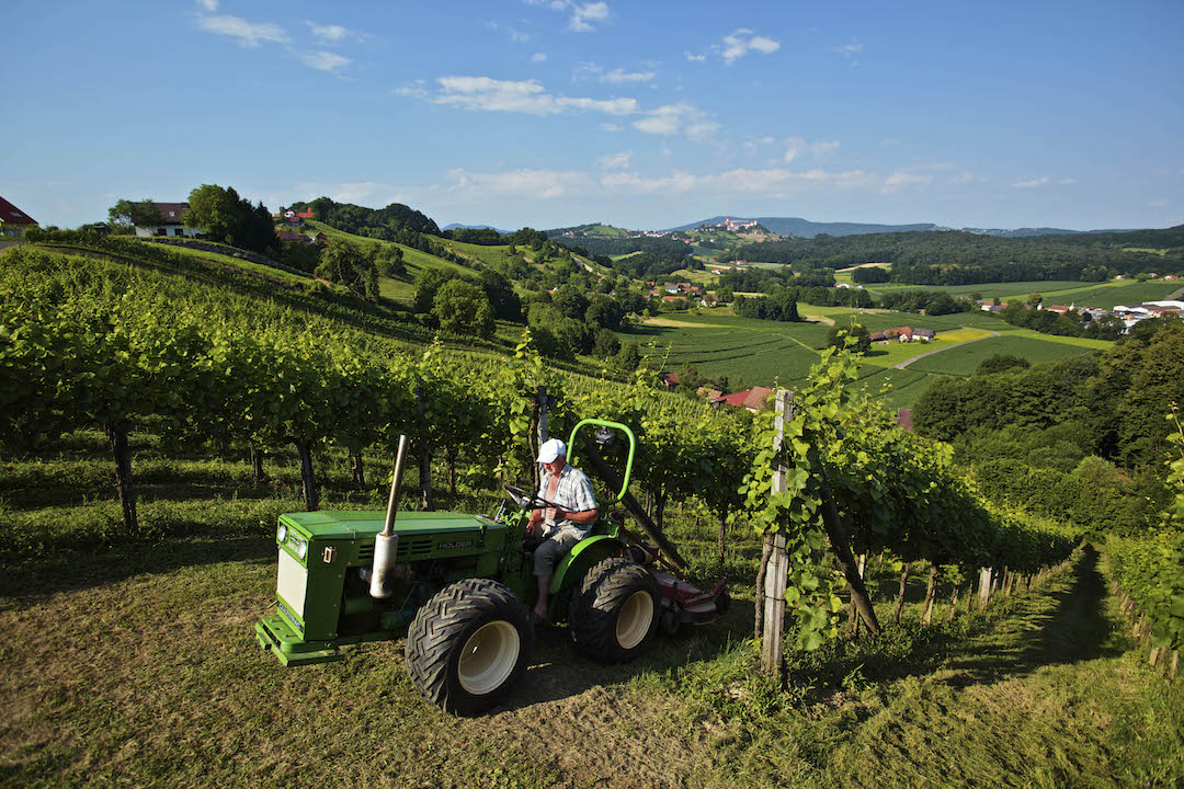 Weingut Neumeister