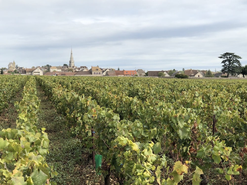 Henri Boillot Meursault blanc 2023