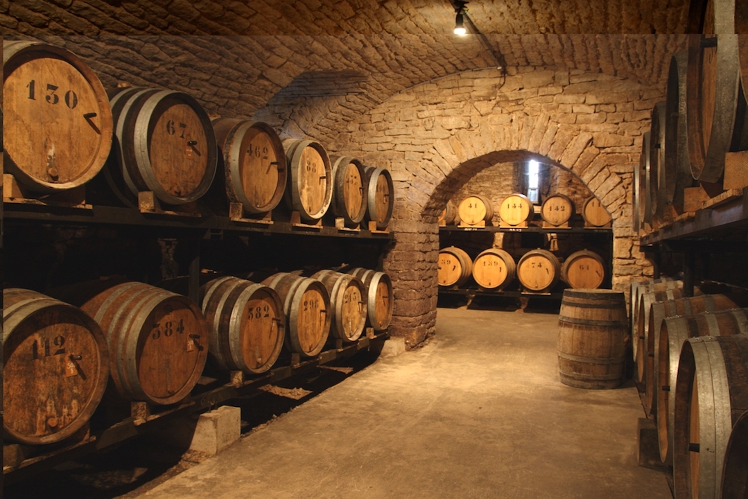 Domaine Berthet-Bondet Cotes du Jura Tradition 2016 BIO