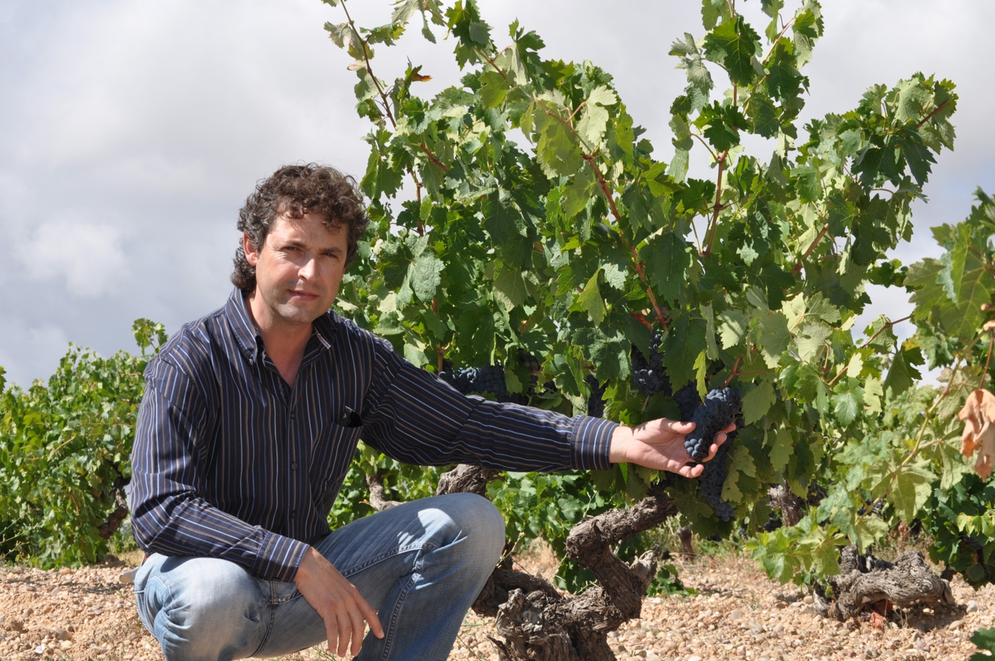 Monteabellon Avaniel Tempranillo rosé