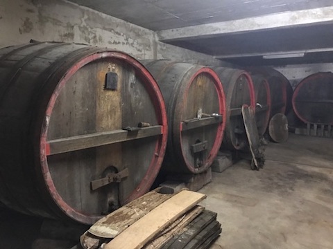 Büsser-Paukner Bacchus