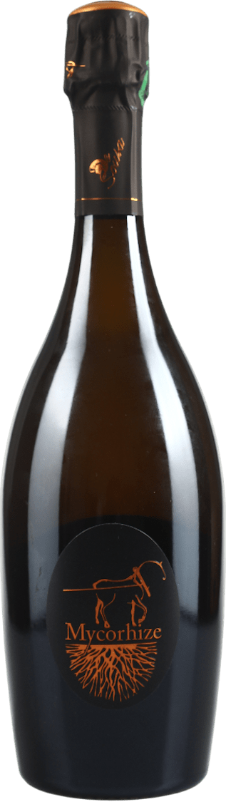 De Sousa Champagne Mycorhize Grand Cru Extra Brut BIO