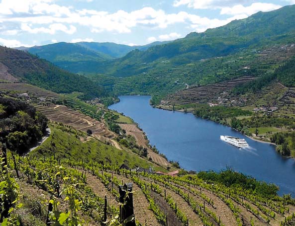 Niepoort Redoma tinto 2021
