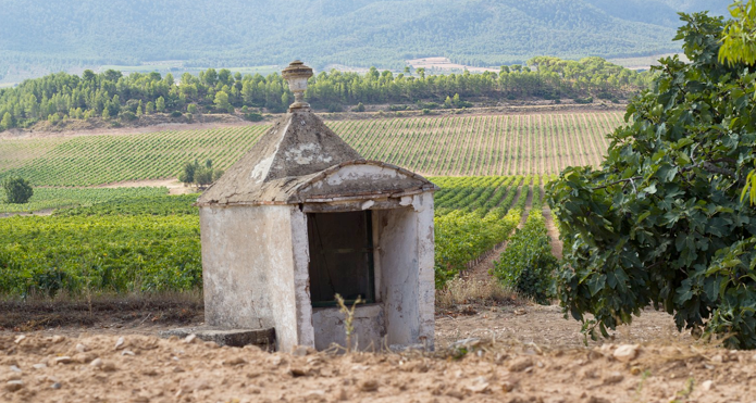 Bodegas Enguera