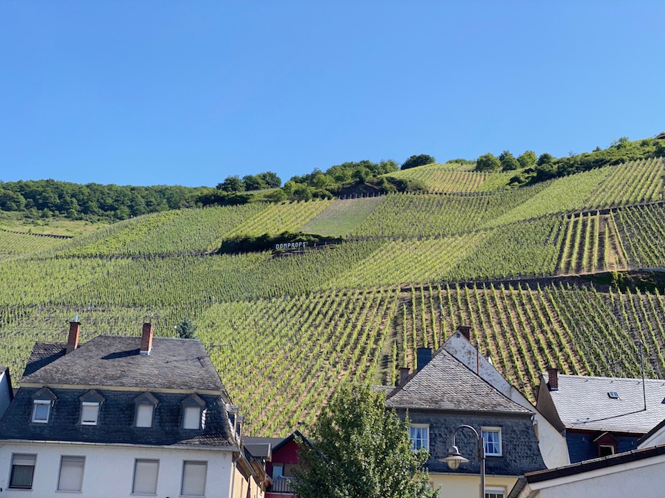 Willi Schäfer Graacher Domprobst Riesling Kabinett 2023 #03