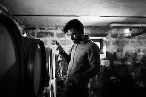 Scheuermann Riesling Ruppertsberger Reiterpfad 2019 BIO