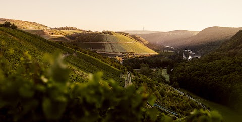 Dönnhoff Schloßböckelheimer Felsenberg Riesling GG 2021