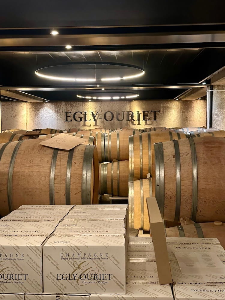 Egly-Ouriet Les Vignes de Vrigny Premier Cru Extra Brut