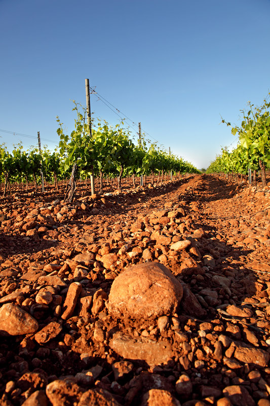 Paul Mas Cabernet Sauvignon Merlot 0,25