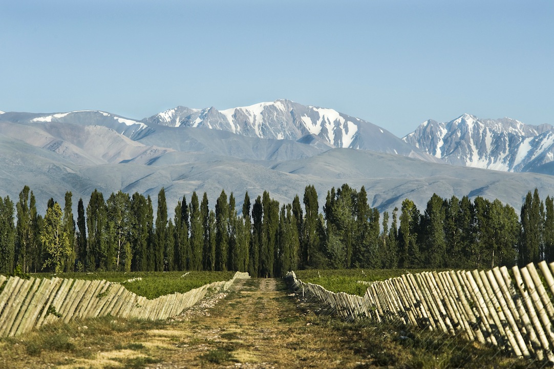 Bodegas Salentein
