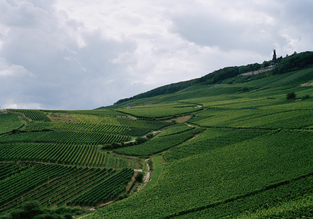 Georg Breuer Rüdesheim Berg Schlossberg Rheingau Riesling 2024