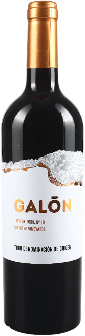 Galon Crianza 10 meses tinto