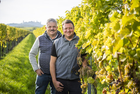 Josef Dockner Grüner Veltliner Göttweiger Berg