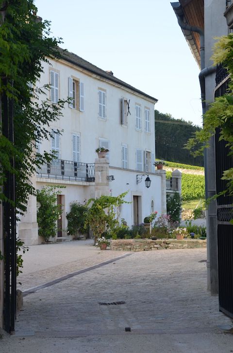 Angerville Volnay Fremiet 1er Cru 2019