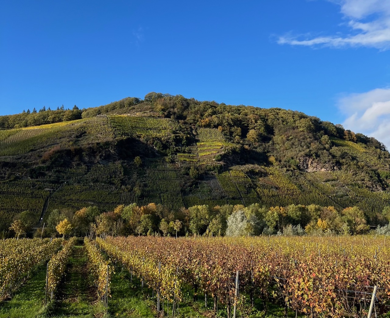 Hermann Ludes Thörnicher Ritsch Riesling Spätlese 2017 Late Release