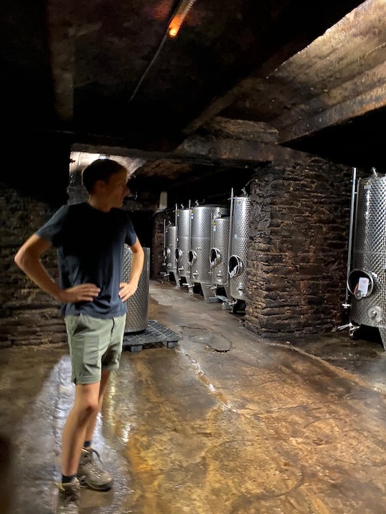 Weingut Vollenweider