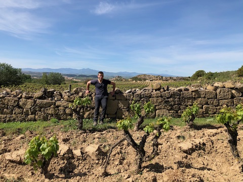 Jose Gil Vinedos En Labastida 2024