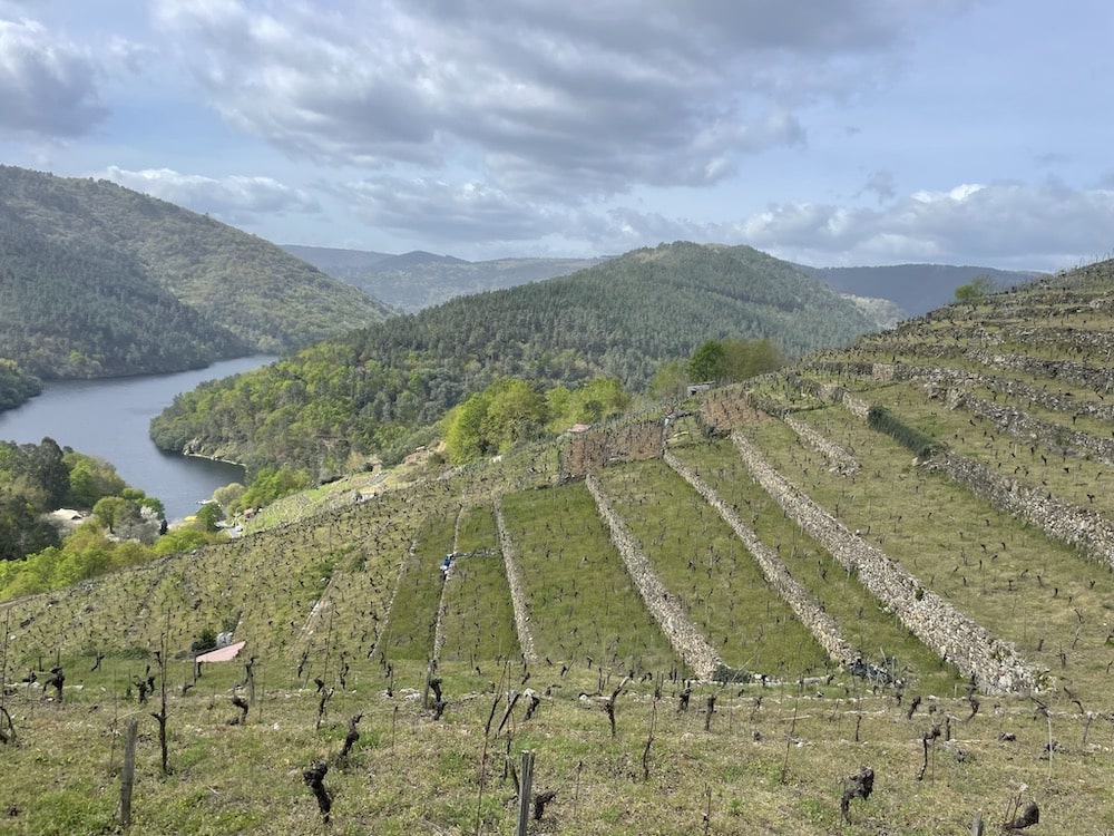 Quinta do Estranxeiro Penapedre 2021
