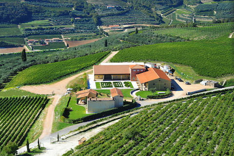 Sant Antonio Amarone Riserva Lilium Est 2010