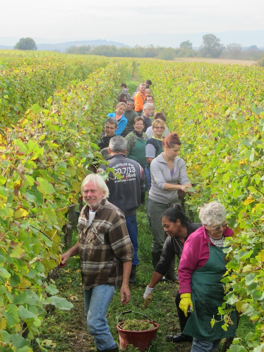 Knab Chardonnay *** Eckkinzig Barrique 2022