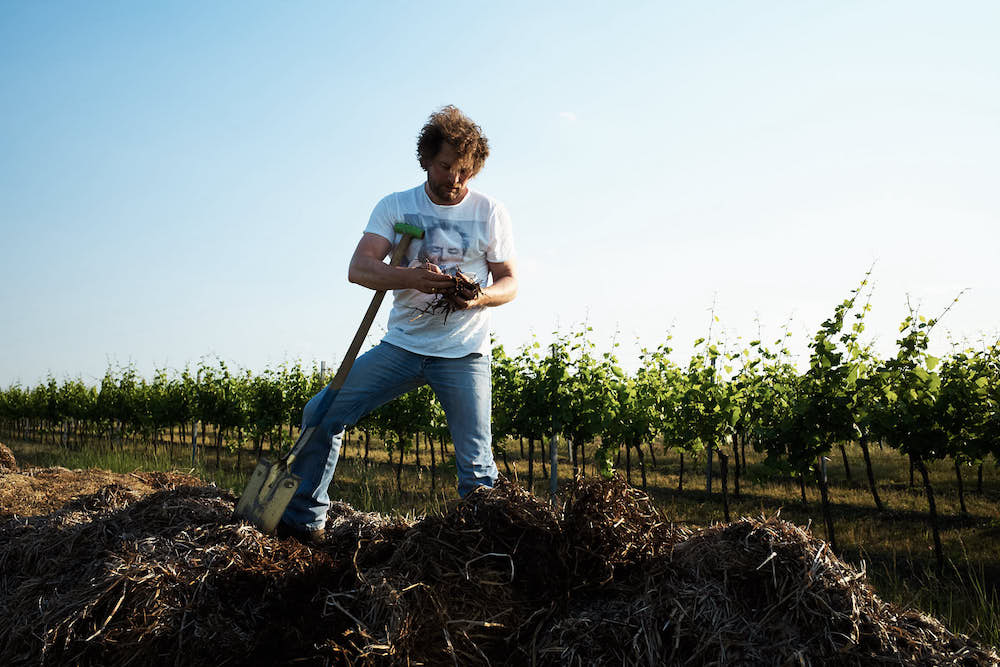 Herbert Zillinger Horizont Grüner Veltliner 2022 BIO
