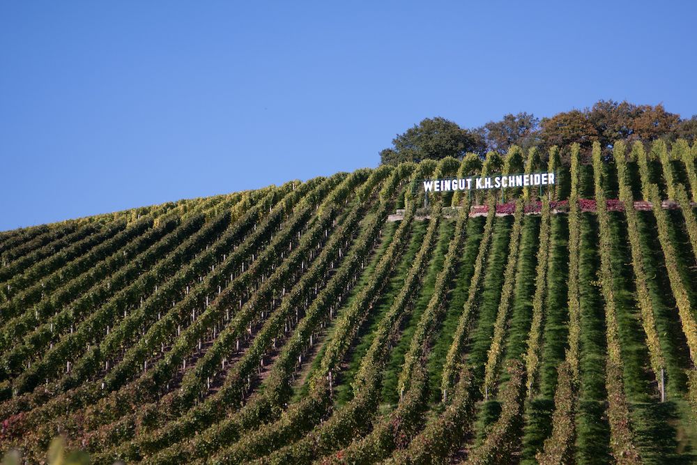 K. H. Schneider Sobernheimer Domberg Riesling trocken 2023