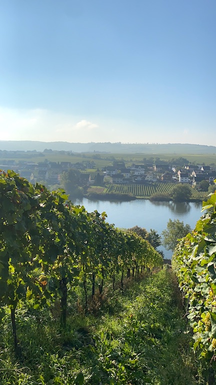 Julian Haart Haart Riesling 2024