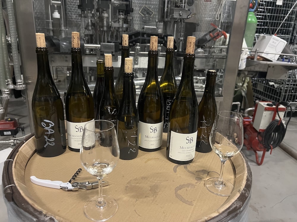 Sylvain Bzikot Meursault blanc 2022