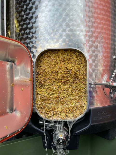 Weinreich Chardonnay und Weissburgunder BIO
