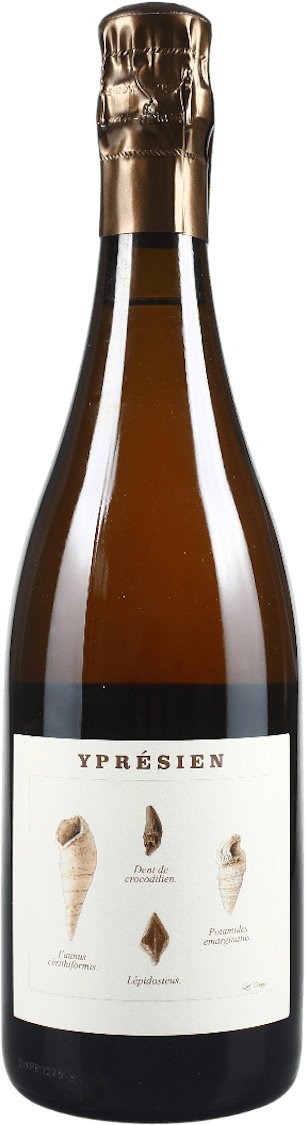 Legrand Latour Ypresien Brut Nature BIO