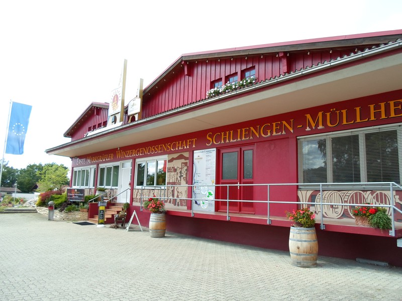 Winzergenossenschaft Schliengen-Müllheim