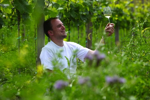 Odinstal Riesling Buntsandstein 2021 BIO