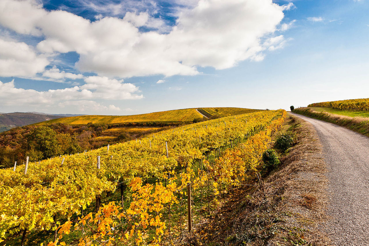 Tenuta Sant´Antonio Scaia Bianca Veneto Bianco IGT