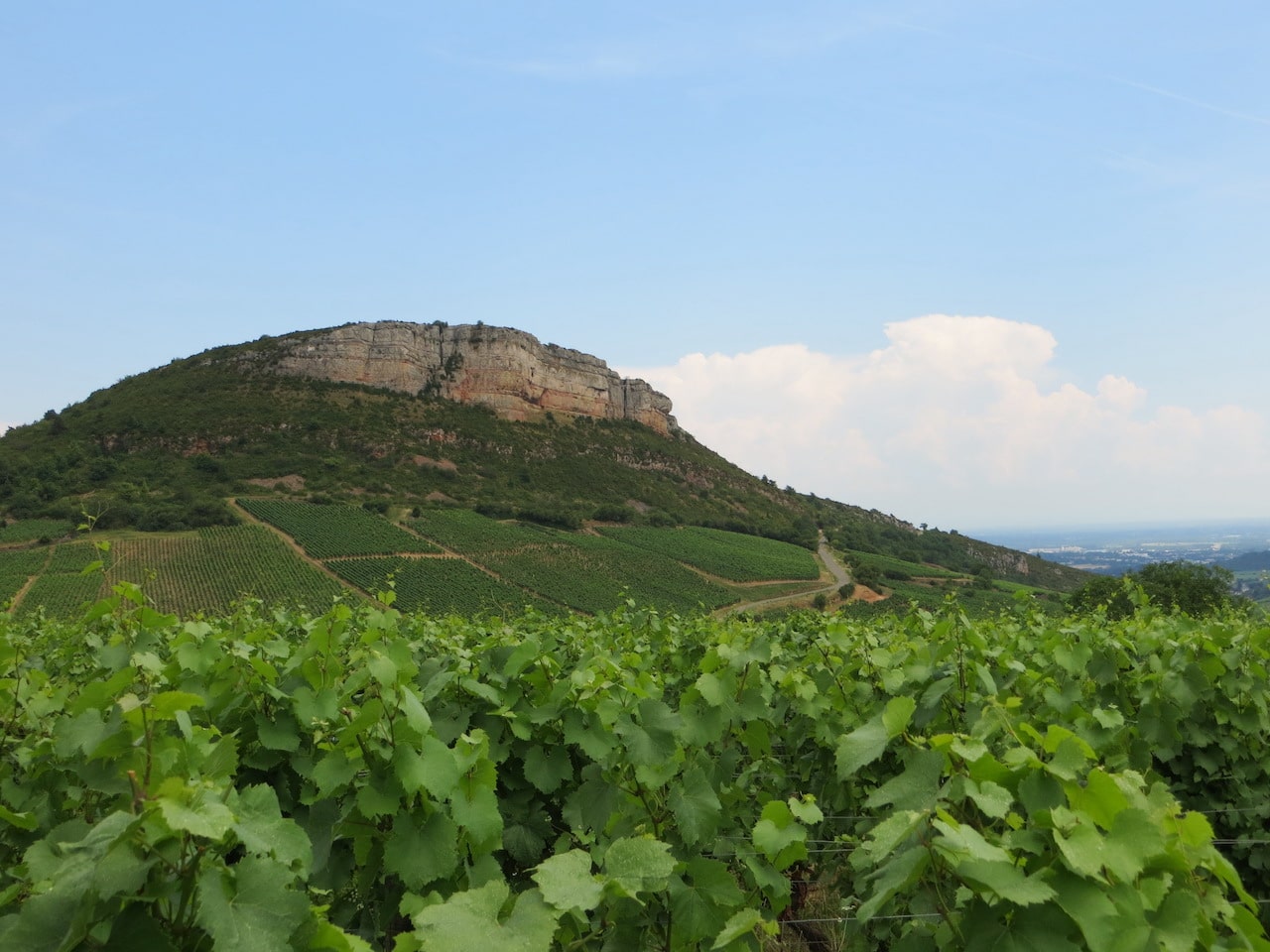 Bret Brothers Mâcon Chardonnay Les Crays 2023 BIO