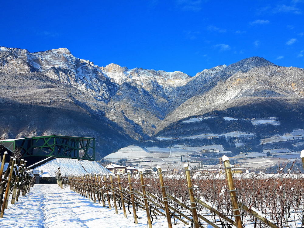 Tramin Pinot Grigio Alto Adige