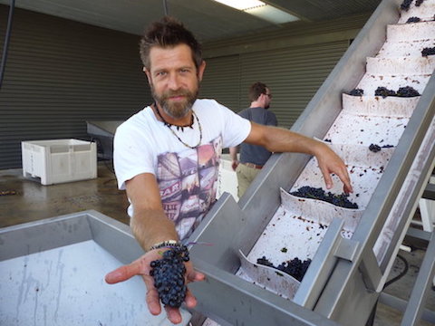 Shaw and Smith Shiraz 2018