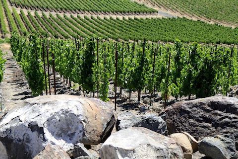 Force Majeure Red Mountain Estate Syrah 2018