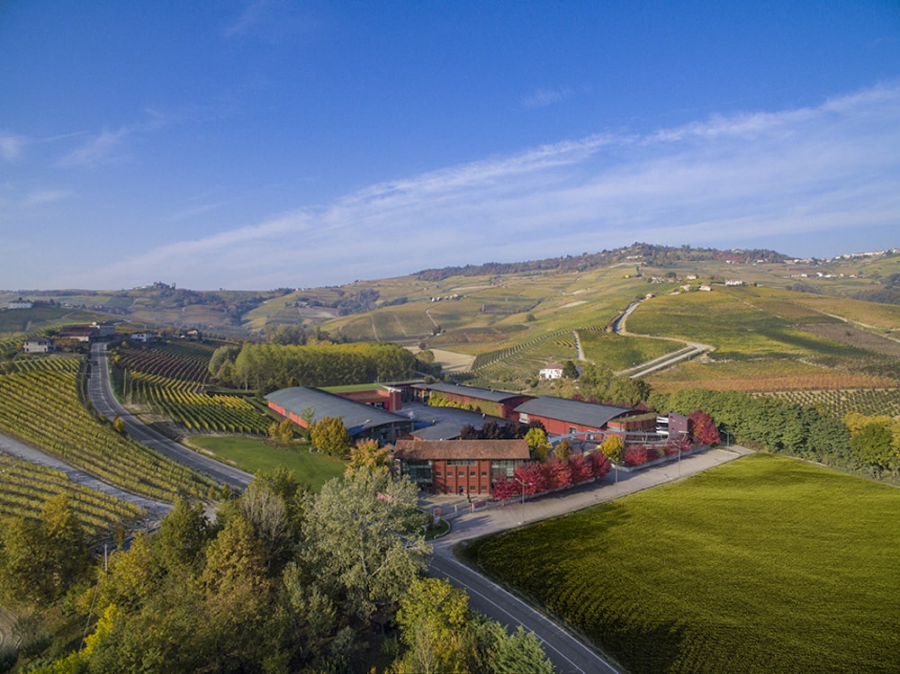 Vite Colte Villalta Roero Arneis