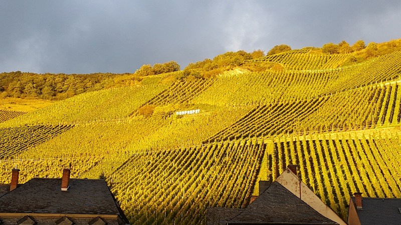 Willi Schäfer Graacher Himmelreich Riesling Spätlese 2025