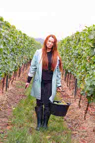 Schittler Becker Niersteiner Pettenthal Riesling trocken 2021